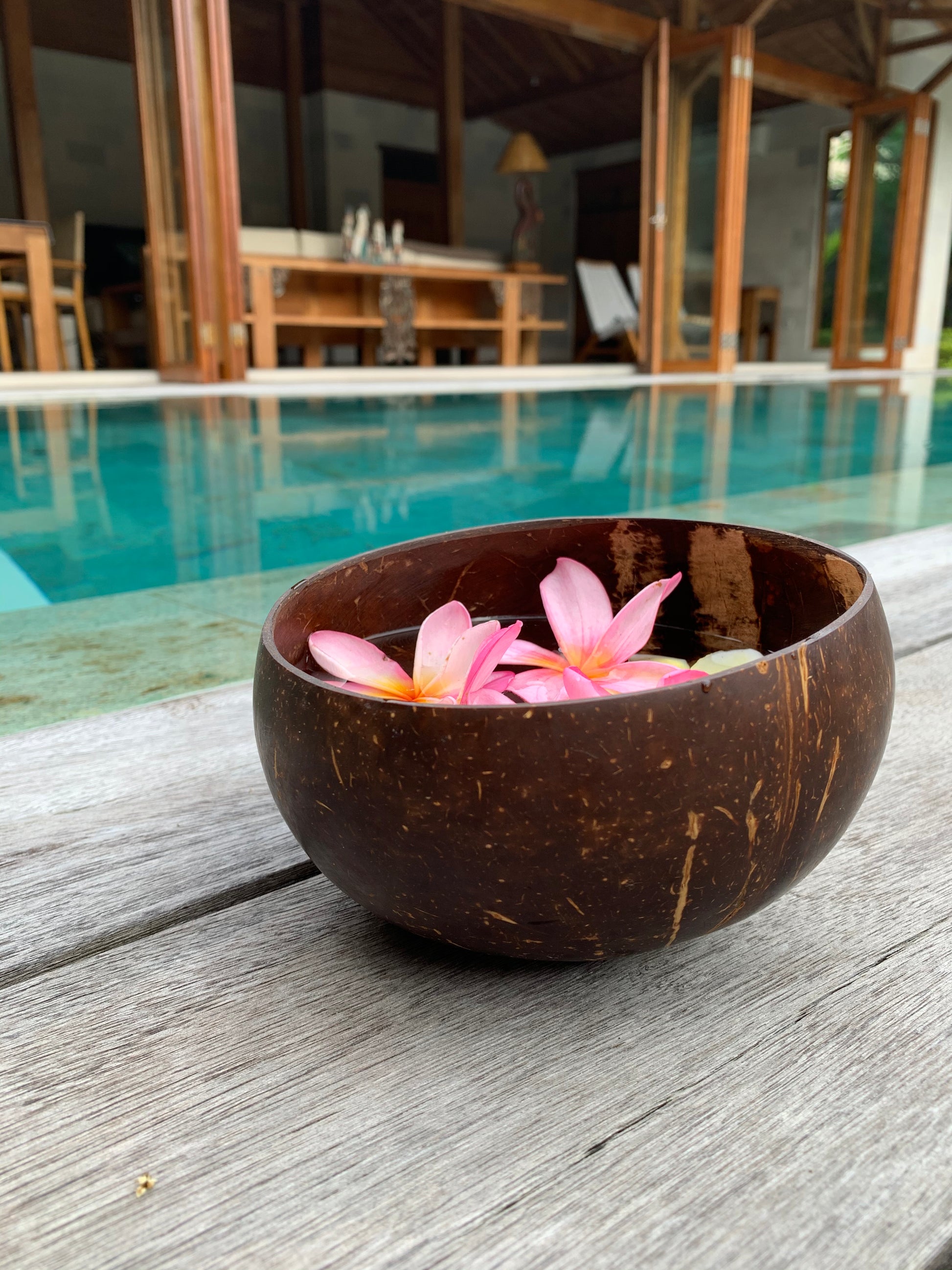 Coconut bowls 2 pcs + 2 bamboo straws with a brush